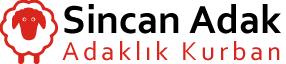 Ocak Şömine logo